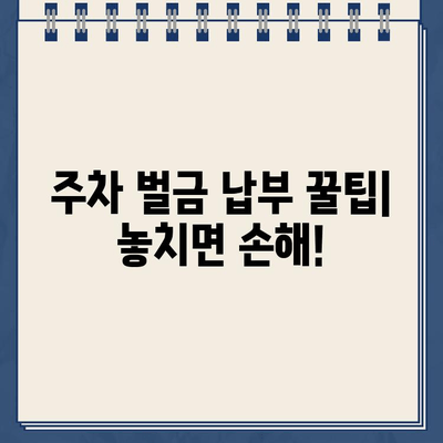 독일 유럽 여행 중 렌트카 주차 위반 벌금, 납부 방법 총정리 | 독일 주차 규정, 벌금 납부 절차, 팁