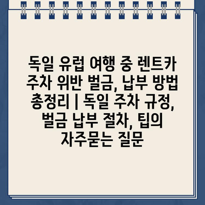 독일 유럽 여행 중 렌트카 주차 위반 벌금, 납부 방법 총정리 | 독일 주차 규정, 벌금 납부 절차, 팁