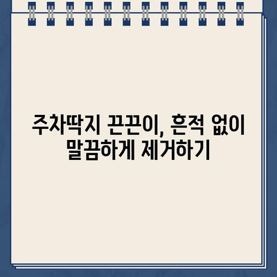 끈끈이 주차 딱지, 깨끗하게 제거하는 꿀팁 5가지 | 주차딱지 제거, 끈끈이 제거, 자동차 관리