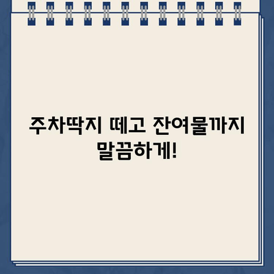 끈끈이 주차 딱지, 깨끗하게 제거하는 꿀팁 5가지 | 주차딱지 제거, 끈끈이 제거, 자동차 관리