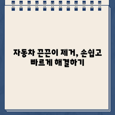 끈끈이 주차 딱지, 깨끗하게 제거하는 꿀팁 5가지 | 주차딱지 제거, 끈끈이 제거, 자동차 관리