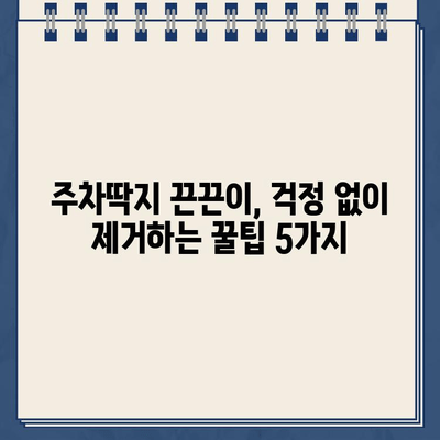 끈끈이 주차 딱지, 깨끗하게 제거하는 꿀팁 5가지 | 주차딱지 제거, 끈끈이 제거, 자동차 관리