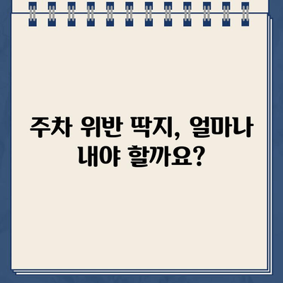 미국 운전 초보자의 첫 주차 위반 딱지 | 벌금, 면허점수, 대처법 | 주차 위반, 벌금 납부, 면허 정지, 이의신청