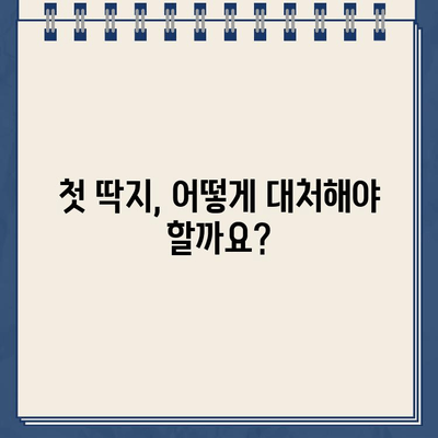 미국 운전 초보자의 첫 주차 위반 딱지 | 벌금, 면허점수, 대처법 | 주차 위반, 벌금 납부, 면허 정지, 이의신청