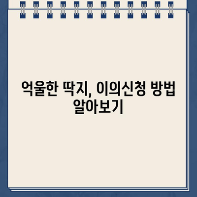 미국 운전 초보자의 첫 주차 위반 딱지 | 벌금, 면허점수, 대처법 | 주차 위반, 벌금 납부, 면허 정지, 이의신청