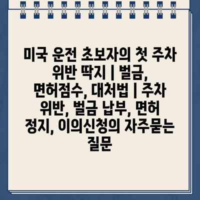 미국 운전 초보자의 첫 주차 위반 딱지 | 벌금, 면허점수, 대처법 | 주차 위반, 벌금 납부, 면허 정지, 이의신청