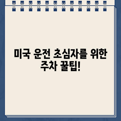 미국 운전 초심자, 주차 위반 딱지 받았을 때 어떻게 해야 할까요? | 주차 위반 딱지, 벌금, 면제, 미국 운전 팁