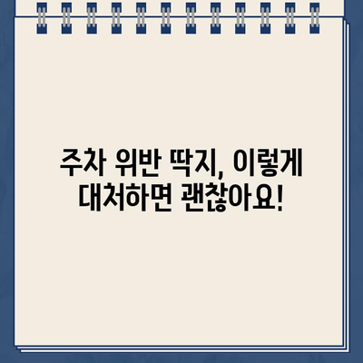 미국 운전 초심자, 주차 위반 딱지 받았을 때 어떻게 해야 할까요? | 주차 위반 딱지, 벌금, 면제, 미국 운전 팁