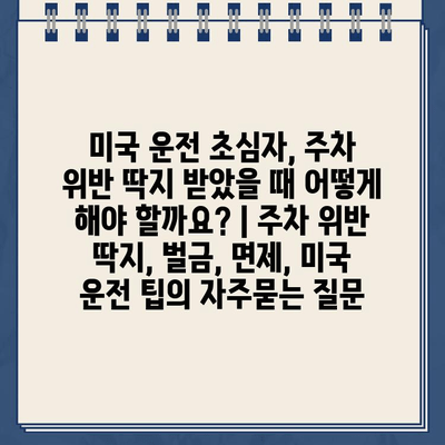 미국 운전 초심자, 주차 위반 딱지 받았을 때 어떻게 해야 할까요? | 주차 위반 딱지, 벌금, 면제, 미국 운전 팁