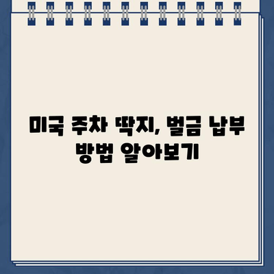 미국 주차 위반 딱지, 처음 받았을 때 당황하지 말고! | 미국 주차 위반, 딱지 해결, 벌금 납부, 주차 규칙