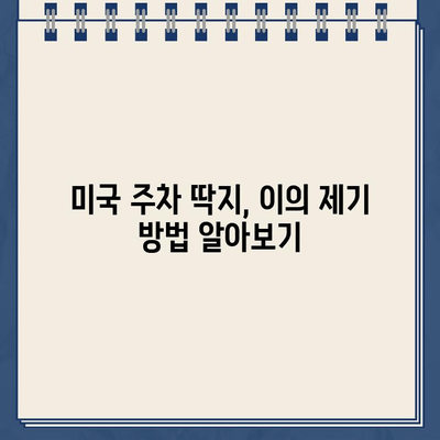 미국 주차 위반 딱지, 처음 받았을 때 당황하지 말고! | 미국 주차 위반, 딱지 해결, 벌금 납부, 주차 규칙