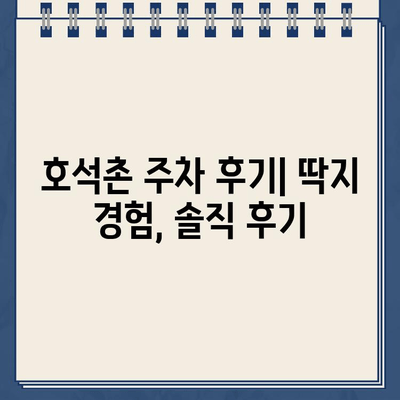 호석촌 순대국집 주차 딱지 끊긴 경험 공유 | 주차 팁, 주의사항, 후기