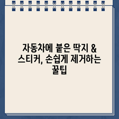 주차 딱지 & 스티커, 깔끔하게 제거하는 5가지 비법 | 딱지 제거, 스티커 제거, 자동차 관리, 꿀팁