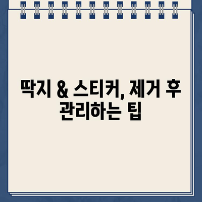 주차 딱지 & 스티커, 깔끔하게 제거하는 5가지 비법 | 딱지 제거, 스티커 제거, 자동차 관리, 꿀팁