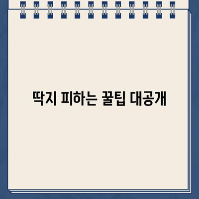 수원 화홍문 주차 딱지, 이렇게 피하세요! | 주차 안내, 딱지 팁, 화홍문 주차 정보