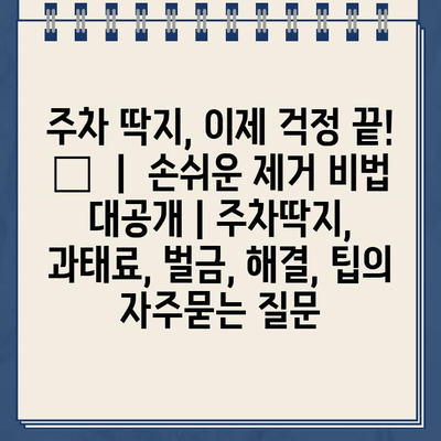 주차 딱지, 이제 걱정 끝! 🚫  |  손쉬운 제거 비법 대공개 | 주차딱지, 과태료, 벌금, 해결, 팁