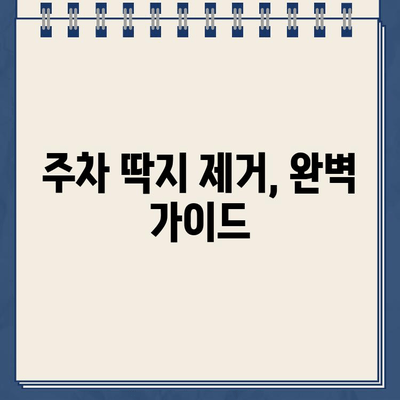 주차 딱지, 이제 걱정 마세요! | 주차 딱지 제거 완벽 가이드 | 주차 위반, 딱지 해결 팁