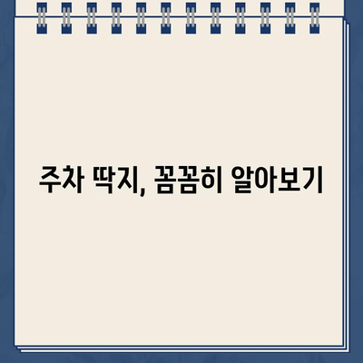 주차 딱지, 이제 걱정 마세요! | 주차 딱지 제거 완벽 가이드 | 주차 위반, 딱지 해결 팁