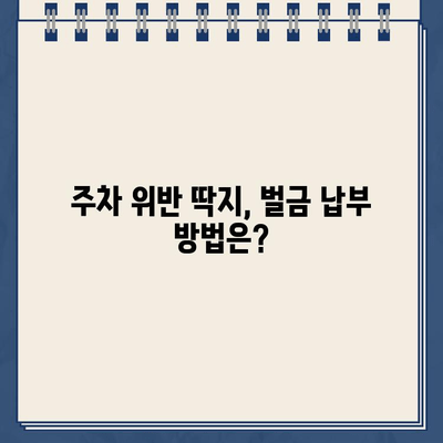 LA 레이크 할리우드 파크 주차 딱지, 온라인으로 간편하게 해결하세요! | 주차 위반, 벌금, 납부 방법, 온라인 시스템