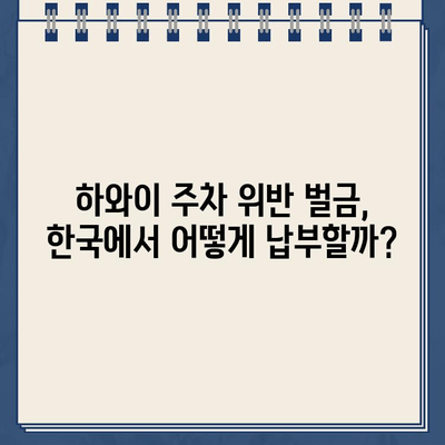 하와이 주차 딱지 벌금, 한국에서 해결 가능할까요? | 하와이 주차 위반, 벌금 납부, 한국에서 지불