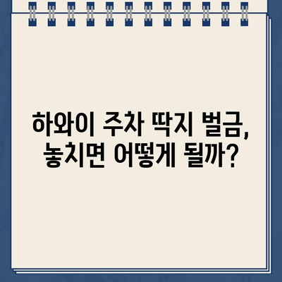 하와이 주차 딱지 벌금, 한국에서 해결 가능할까요? | 하와이 주차 위반, 벌금 납부, 한국에서 지불