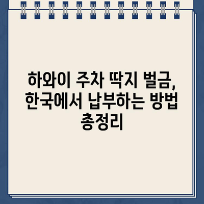 하와이 주차 딱지 벌금, 한국에서 해결 가능할까요? | 하와이 주차 위반, 벌금 납부, 한국에서 지불