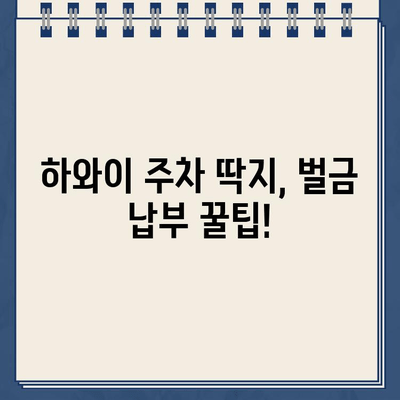 하와이 주차 딱지 벌금, 한국에서 해결 가능할까요? | 하와이 주차 위반, 벌금 납부, 한국에서 지불