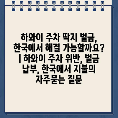 하와이 주차 딱지 벌금, 한국에서 해결 가능할까요? | 하와이 주차 위반, 벌금 납부, 한국에서 지불