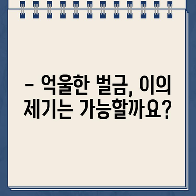 독일 렌트카 주차 위반 벌금, 이렇게 해결하세요! | 벌금 납부, 이의 제기, 주의 사항