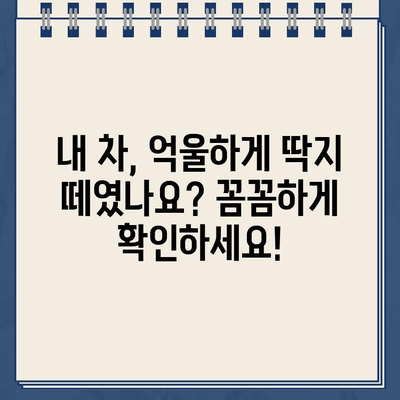 맛있는 스콘과 함께 받은 주차 딱지? 😡  내 억울함을 풀어줄 주차 딱지 이의 신청 방법 | 주차 위반, 딱지, 이의 신청, 스콘