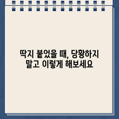 주차 딱지 벌금, 이젠 걱정 마세요! | 주차 딱지, 벌금 납부, 딱지 해결 팁