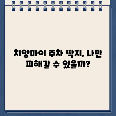 치앙마이 주차 딱지, 나만 피해갈 수 없을까? | 실화와 교훈, 주차 팁 공유