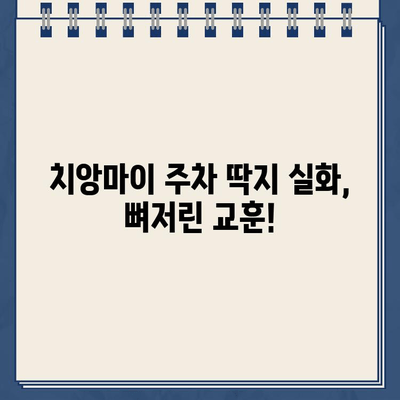 치앙마이 주차 딱지, 나만 피해갈 수 없을까? | 실화와 교훈, 주차 팁 공유