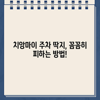 치앙마이 주차 딱지, 나만 피해갈 수 없을까? | 실화와 교훈, 주차 팁 공유