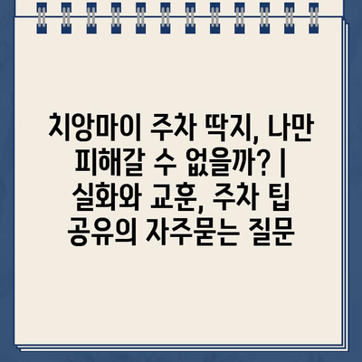 치앙마이 주차 딱지, 나만 피해갈 수 없을까? | 실화와 교훈, 주차 팁 공유