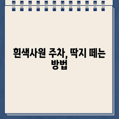 치앙마이 흰색사원 주차 딱지? 나만 당한 이야기 | 주차 정보, 팁, 주의사항