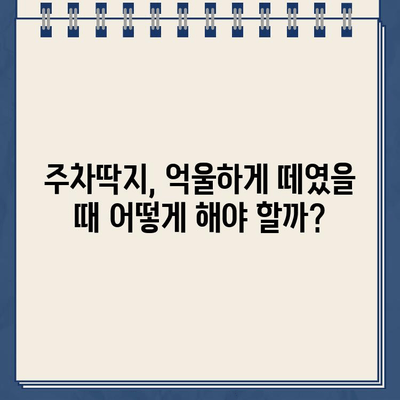 주차딱지 떼는 꿀팁! 쉽고 빠르게 해결하는 5가지 방법 | 주차딱지, 과태료, 벌금, 주차 위반, 해결