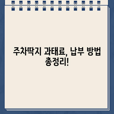 주차딱지 떼는 꿀팁! 쉽고 빠르게 해결하는 5가지 방법 | 주차딱지, 과태료, 벌금, 주차 위반, 해결