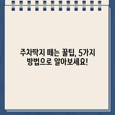 주차딱지 떼는 꿀팁! 쉽고 빠르게 해결하는 5가지 방법 | 주차딱지, 과태료, 벌금, 주차 위반, 해결