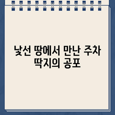 미국 주차 위반 딱지, 낯선 땅에서 겪은 좌충우돌 | 주차 딱지, 미국 교통법규, 벌금 납부