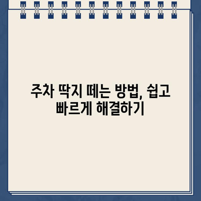 미국 주차 위반 딱지, 낯선 땅에서 겪은 좌충우돌 | 주차 딱지, 미국 교통법규, 벌금 납부