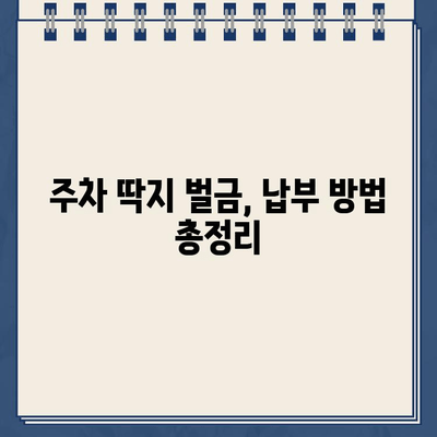 미국 주차 위반 딱지, 낯선 땅에서 겪은 좌충우돌 | 주차 딱지, 미국 교통법규, 벌금 납부