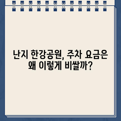 난지 한강공원 주차장, 왜 이렇게 불편할까요? | 이상한 주차 라인, 과다한 요금, 중복 딱지까지?