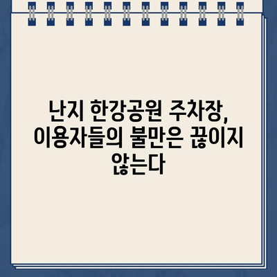 난지 한강공원 주차장, 왜 이렇게 불편할까요? | 이상한 주차 라인, 과다한 요금, 중복 딱지까지?