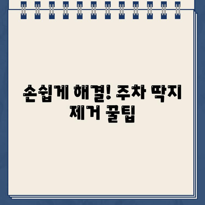 유리 스티커, 주차 딱지 제거 완벽 가이드| 쉽고 효과적인 5가지 방법 | 스티커 제거, 딱지 제거, 유리 세척, 잔여물 제거