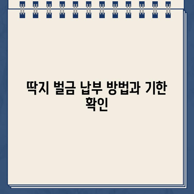 호주 주차 딱지, 끊겼을 때 어떻게 해야 할까요? | 호주 주차 딱지, 벌금, 규정, 해결 팁