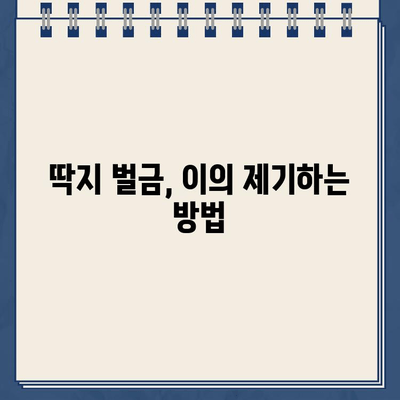 호주 주차 딱지, 끊겼을 때 어떻게 해야 할까요? | 호주 주차 딱지, 벌금, 규정, 해결 팁