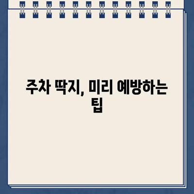 호주 주차 딱지, 끊겼을 때 어떻게 해야 할까요? | 호주 주차 딱지, 벌금, 규정, 해결 팁