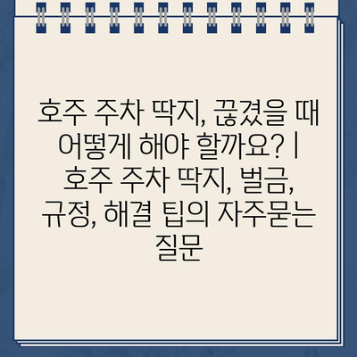 호주 주차 딱지, 끊겼을 때 어떻게 해야 할까요? | 호주 주차 딱지, 벌금, 규정, 해결 팁