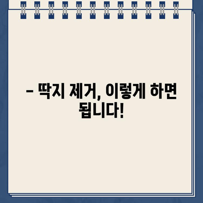 불법 주차 딱지, 이제 걱정하지 마세요! | 딱지 제거 방법 총정리, 주차 딱지 제거 꿀팁